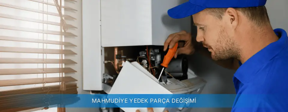 Mahmudiye İlçemi Sanica Yedek Parça Değişimi